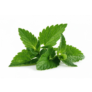 Irish Mint frozen yogurt at Dixie Nutrition