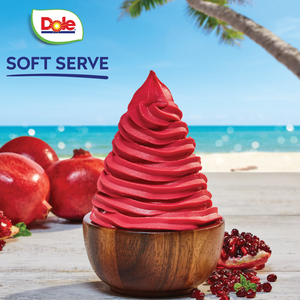 Pomegranate Dole Whip frozen yogurt at Dixie Nutrition