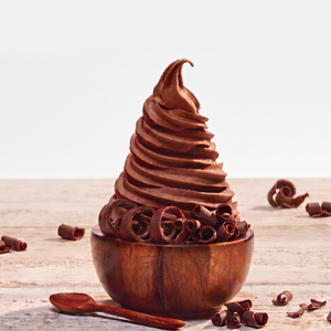 Vegan Chocolate frozen yogurt at Dixie Nutrition