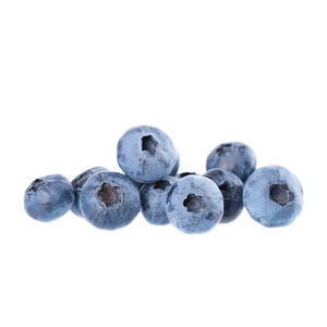 Blueberry frozen yogurt at Dixie Nutrition