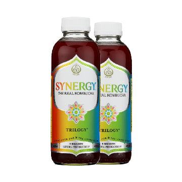 GT's Synergy Kombucha